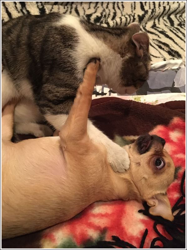 Images insolites et drôles #217