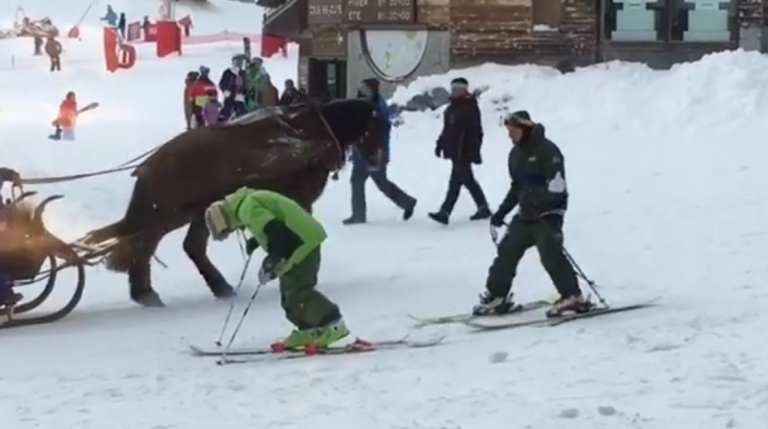 Un homme ivre est incapable de chausser ses skis