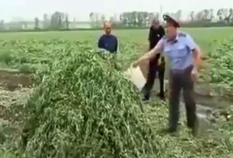 Un policier russe se fait une belle frayeur en allumant un tas de marijuana