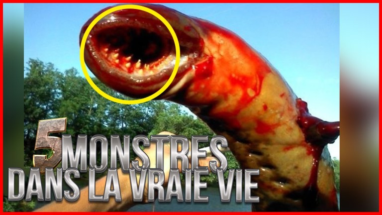 5 HORRIBLES CRÉATURES DE FILMS DANS LA VRAIE VIE !