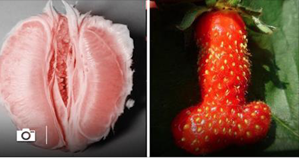 Quand les fruits et légumes deviennent pervers !!