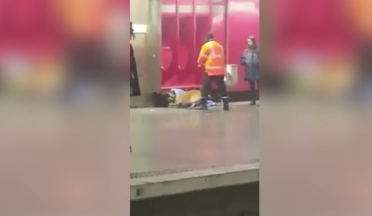 La RATP réveille un SDF en l’agressant avec un chien…