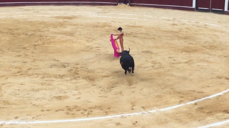 Le matador français Sébastien Castella se fait salement encorner !!