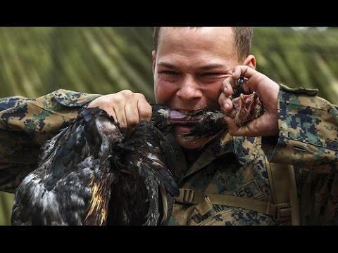 Top 10 des plus HORRIBLES traditions DU MONDE !