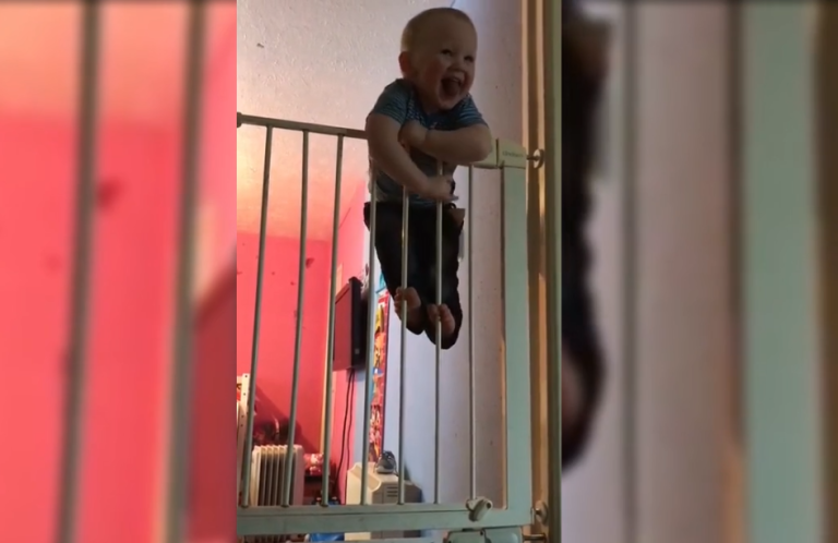 Un bébé s&rsquo;évade en escaladant deux barrières de sécurité
