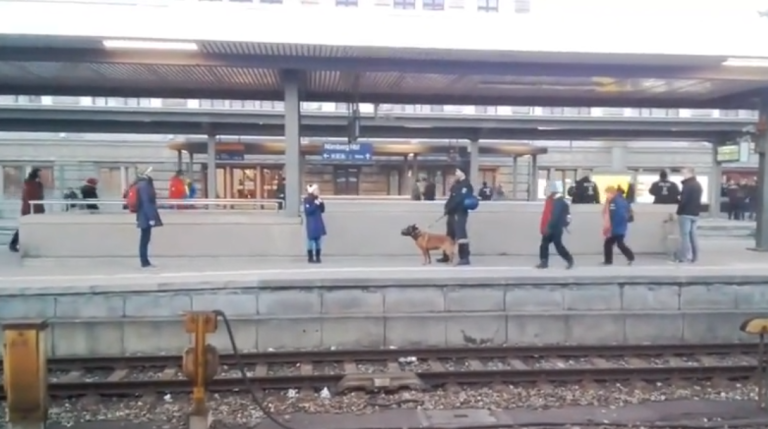 Un chien policier fait tomber une femme sur une voie ferrée