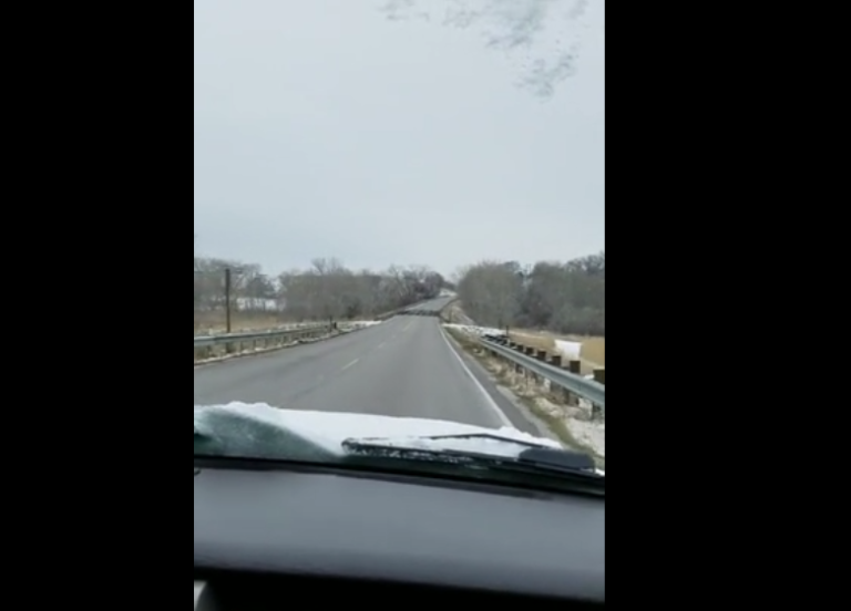 Une femme fonce en voiture sur des oiseaux