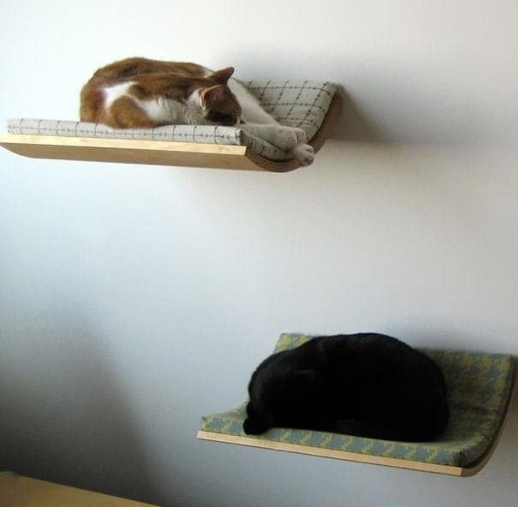 Полки лежанки для кошек