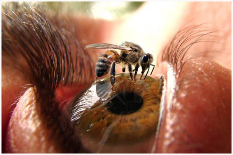 Images insolites et drôles #235