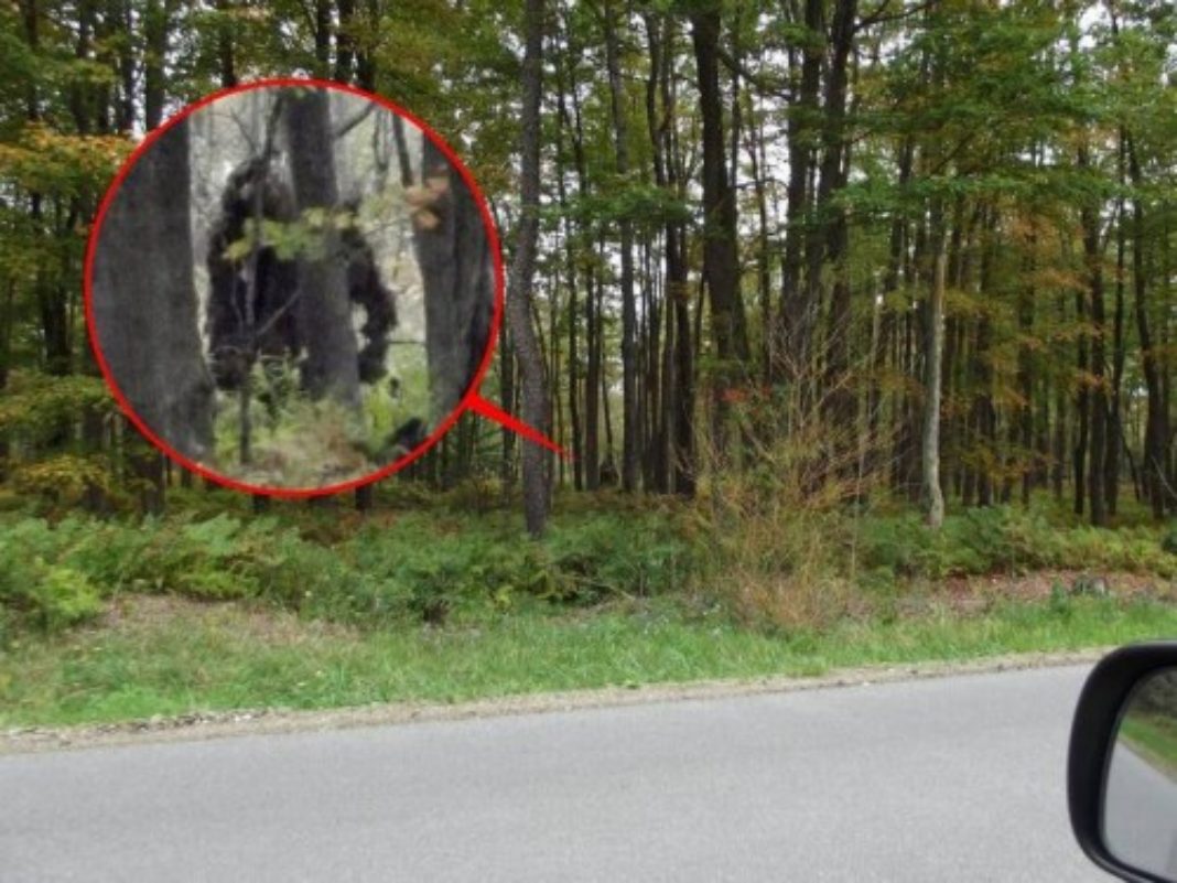 20 Photos Qui Prouvent L existence Du Big Foot Breakforbuzz
