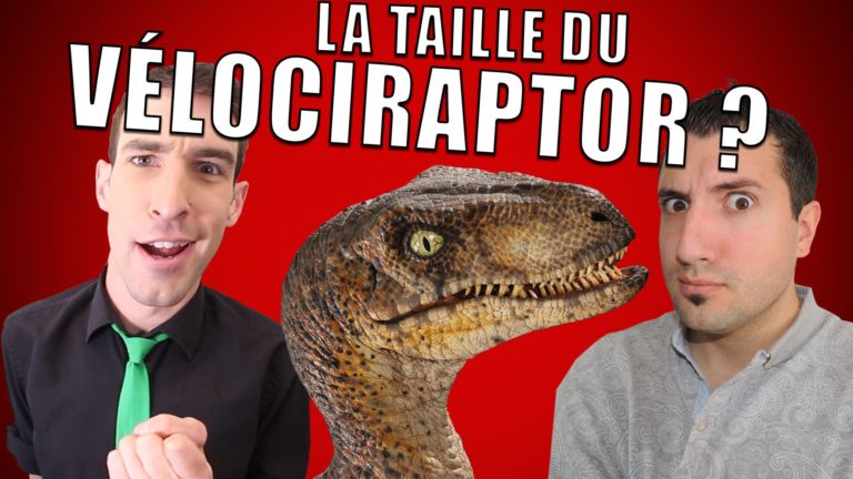 IDÉE REÇUE #12 : Le Vélociraptor