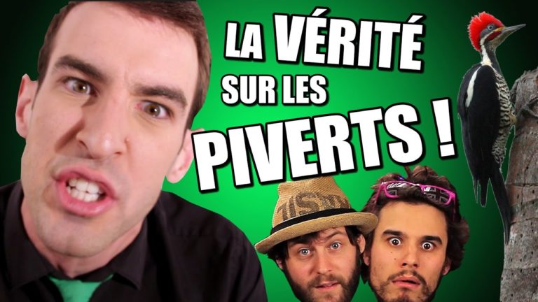 IDÉE REÇUE #18 : La vérité sur les Piverts !