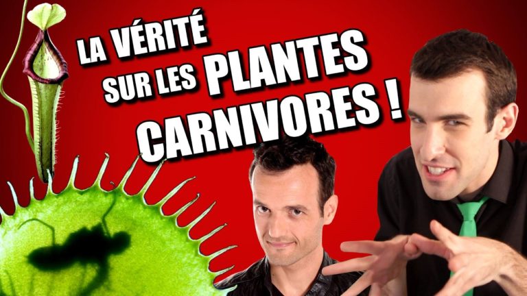 IDÉE REÇUE #20 : Les plantes carnivores