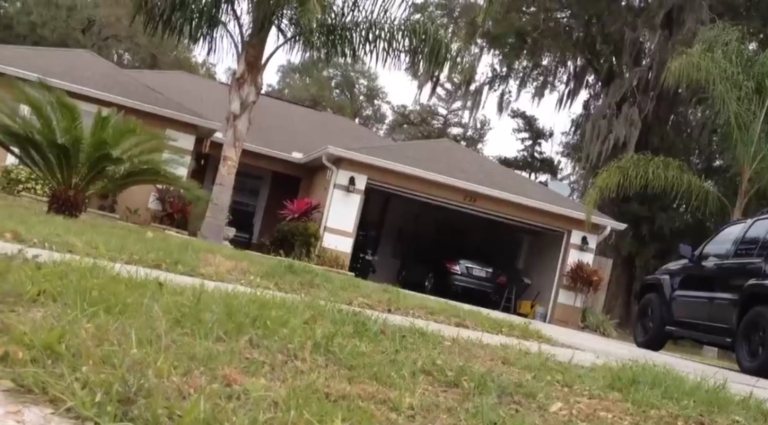 Les alligators dans les égouts ne sont pas un mythe