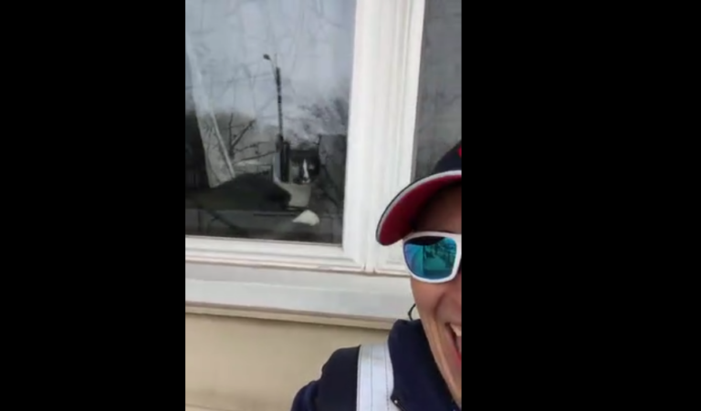 Quand une factrice rencontre un Chat de garde