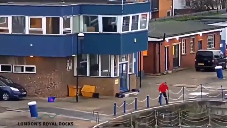 Un docker sauve un chat tombé dans la Tamise