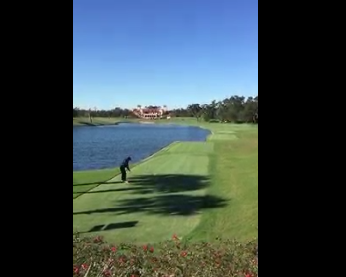 Un golfeur tire sur un canard