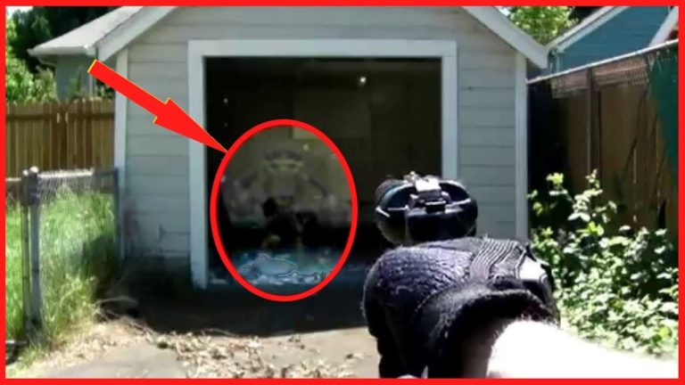 5 DÉCOUVERTES ÉTRANGES dans les JARDINS !