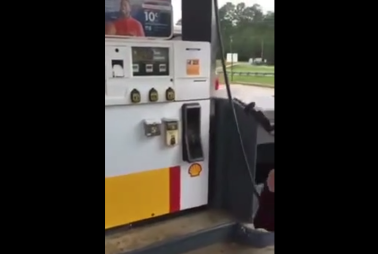 Ils découvrent un serpent dans une borne d’essence