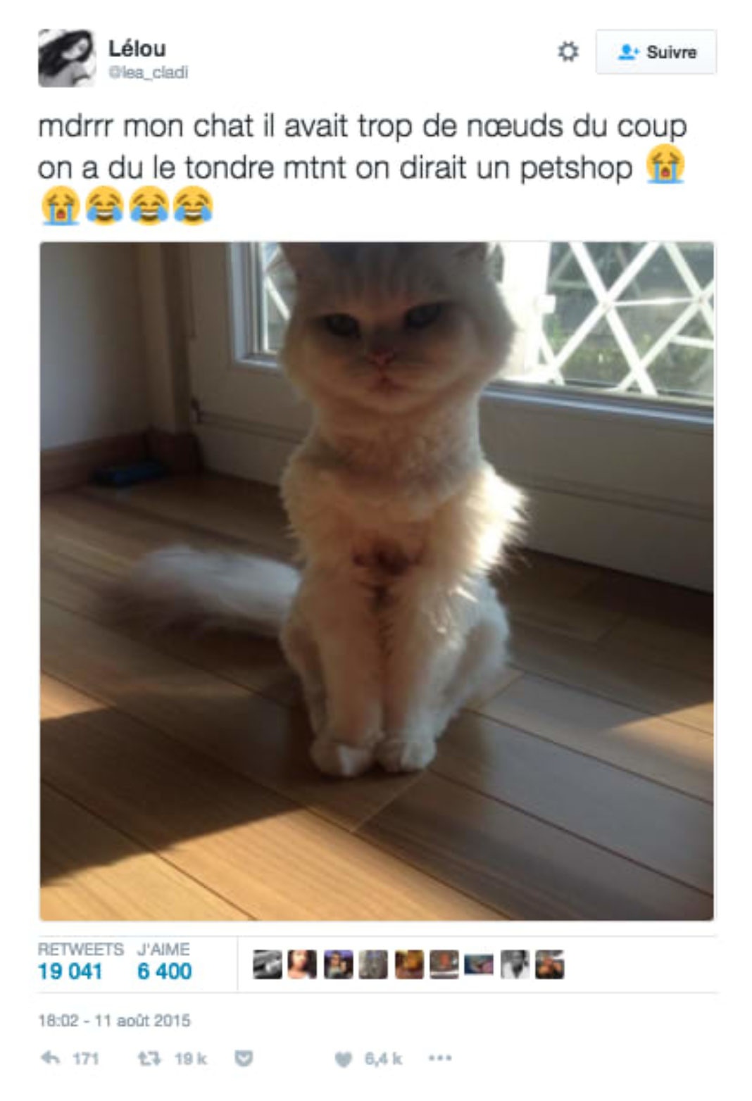 44 photos à mourir de rire, parce que c’est toujours bon de se marrer un coup ! Page 5 sur 6 44 photos à mourir de rire, parce que c’est toujours bon de se marrer un coup ! Page 5 sur 6
