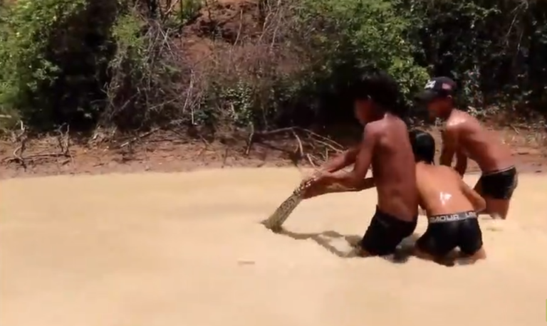 Sans stress, des enfants cambodgiens attrapent un énorme python