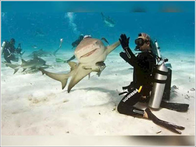 15 photos qui ont été prises avec un timing plus que parfait