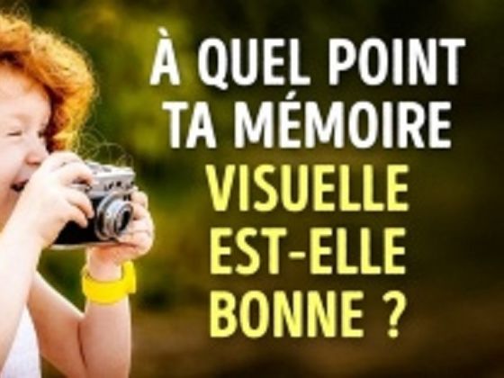 Seul 1 % des gens réussissent ce test de mémoire visuelle ou photographique