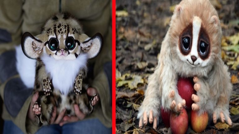 10 ANIMAUX MIGNONS QUI PEUVENT VOUS TUER RÉELLEMENT