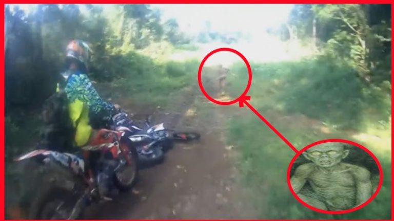 5 VRAIES CRÉATURES ÉTRANGES CAPTURÉES EN VIDÉO !