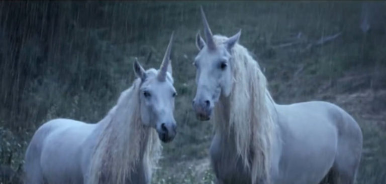 5 VRAIS LICORNES CAPTURÉS EN VIDÉO