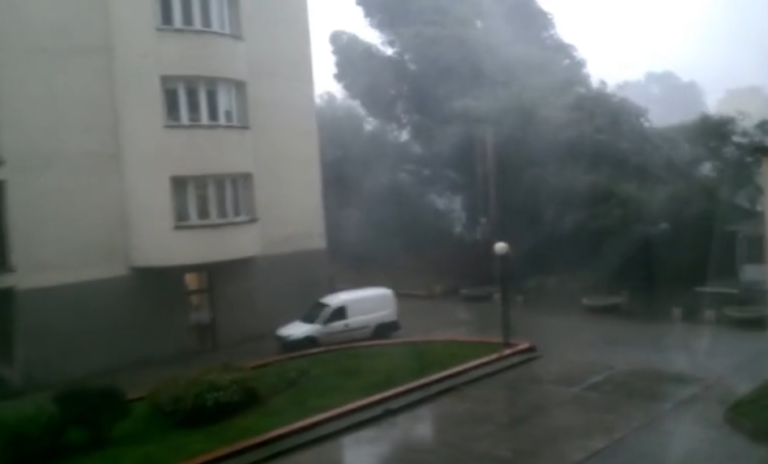 Chute d&rsquo;arbres pendant une tempête