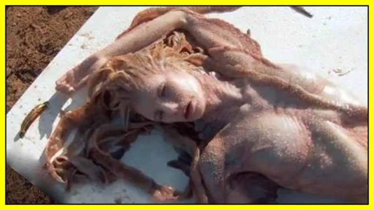 Les 10 DÉCOUVERTES INEXPLIQUÉES les plus INCROYABLES !!