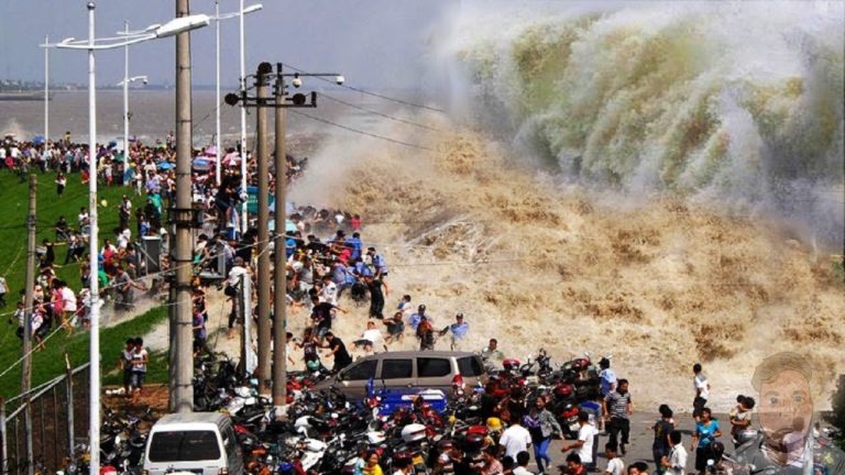 TOP 10 DES MOMENTS LES PLUS EFFRAYANT FILMÉE EN DIRECT !