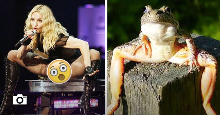 20 photos qui sont bizarrement similaires les unes aux autres !