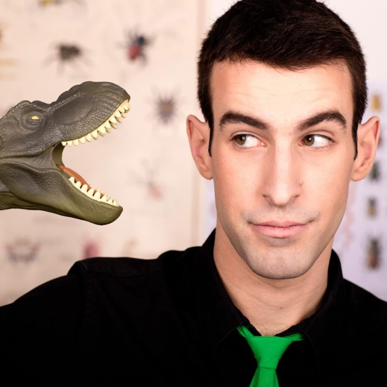 IDÉE REÇUE : Les zombies n&rsquo;existent pas ?