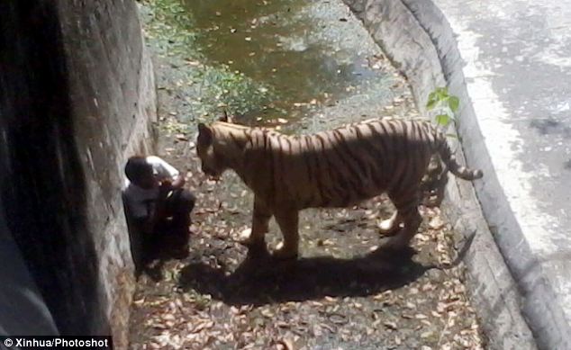 12 ATTAQUES RÉELLES FILMÉES AU ZOO