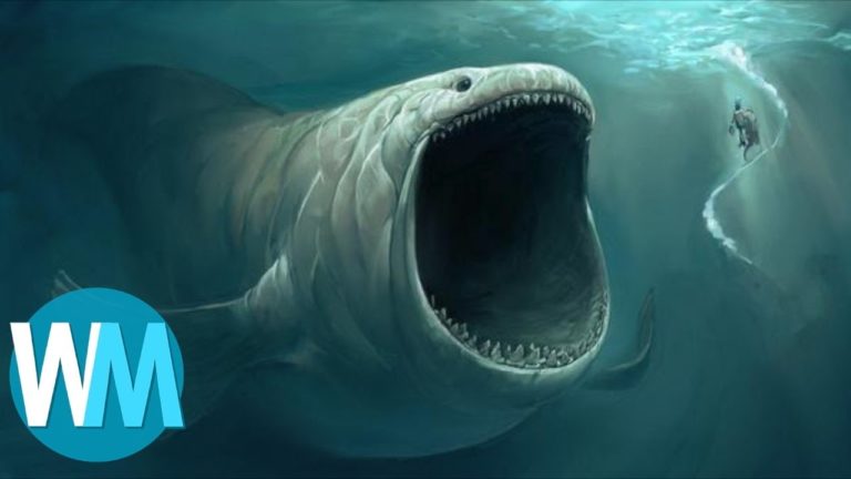 4 SONS MYSTÉRIEUX que PERSONNE ne peut EXPLIQUER