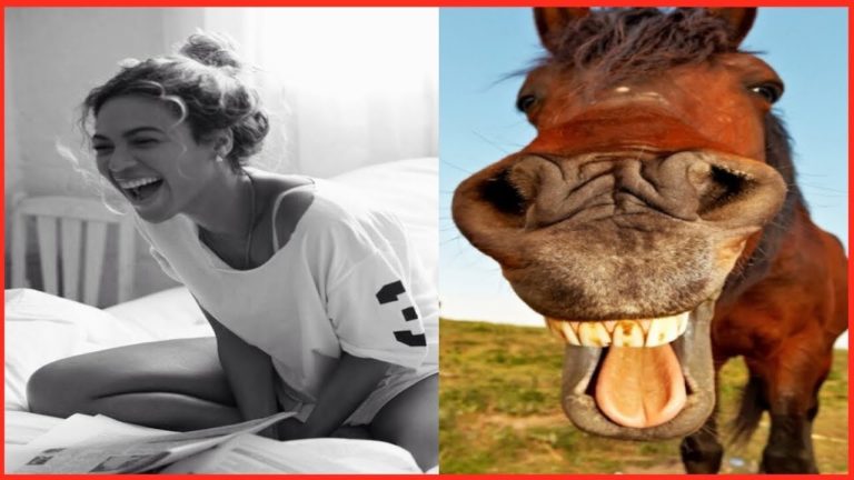 LES RIRES LES PLUS MALAISANT DU MONDE !