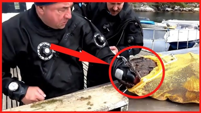 PERSONNE NE LE CROIRAIT SI CE N&rsquo;ÉTAIT PAS FILMÉ ! #2