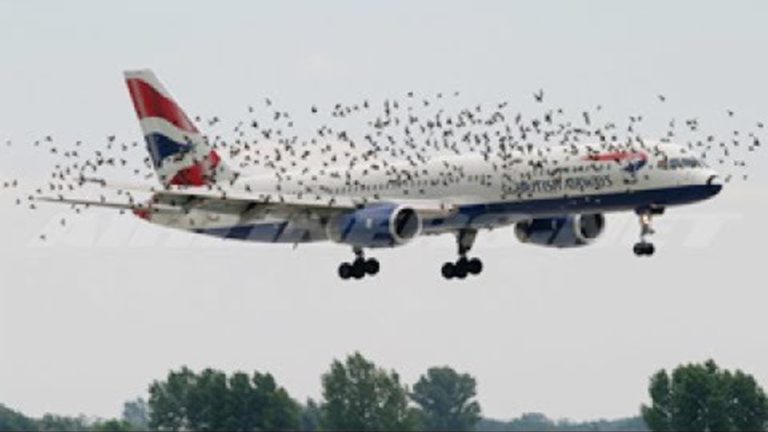 PERSONNE NE LE CROIRAIT SI CE N&rsquo;ÉTAIT PAS FILMÉ ! | FAKE ou RÉEL ?