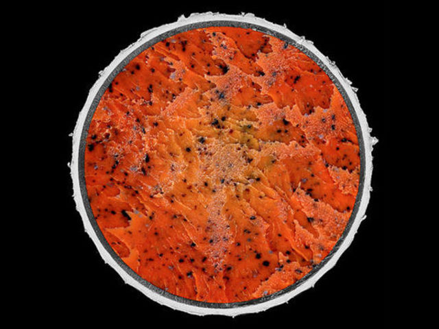 Reconnaîtrais-tu ces 15 choses coupées en deux ?