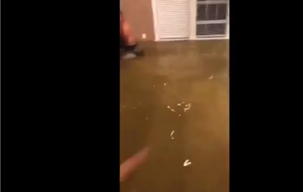 Un Américain pêche dans sa maison inondée (Ouragan Harvey)