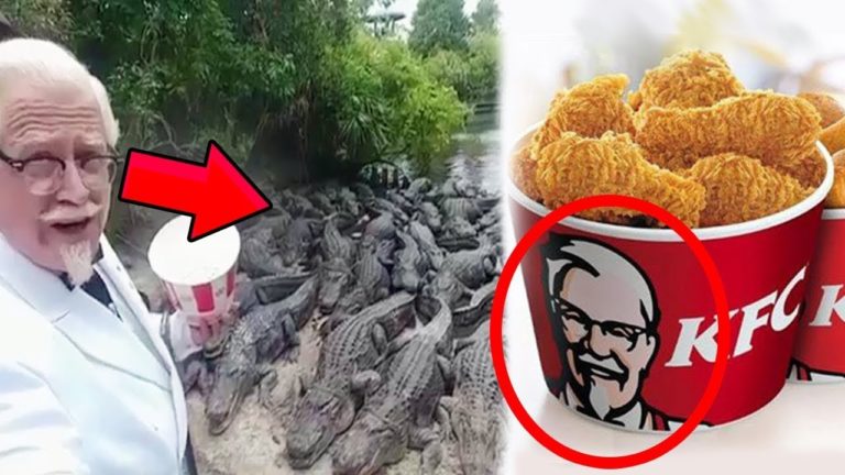 10 FAITS SUR LA NOURRITURE que vous IGNOREZ