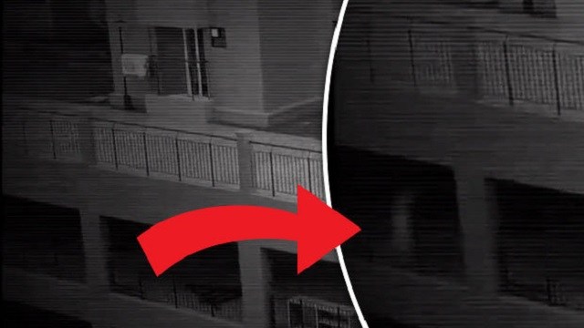 6 CRÉATURES ET FANTÔMES CAPTURÉS EN VIDÉO