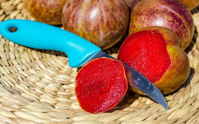 LES FRUITS HYBRIDES qui EXISTENT VRAIMENT