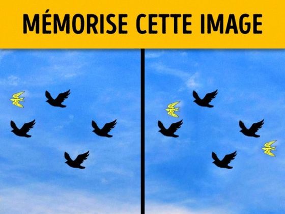 Test : As-tu une bonne mémoire visuelle ?