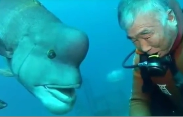 Ce plongeur chinois a filmé une créature étrange et terrifiante !