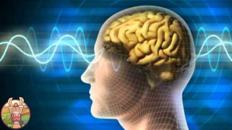 14 CHOSES QUE VOUS NE SAVEZ PAS SUR VOS RÊVES