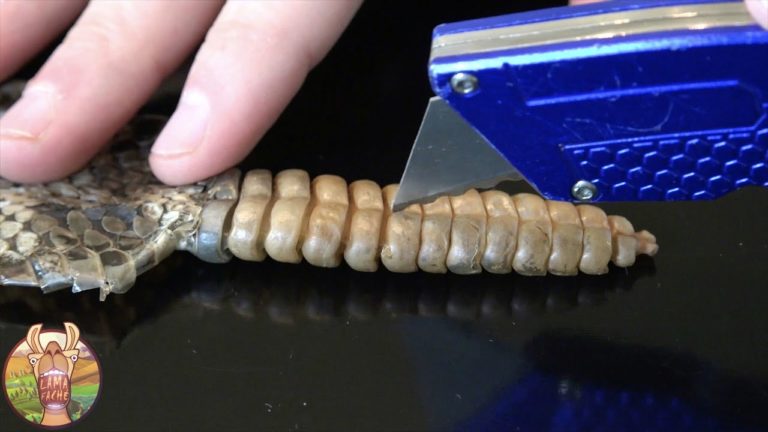 5 CHOSES QUE VOUS NE CONNAISSEZ PAS VRAIMENT