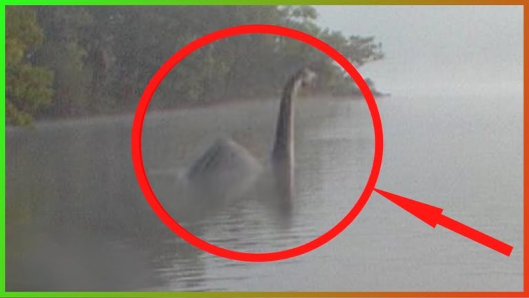 5 CRÉATURES OUBLIÉES qui existent VRAIMENT